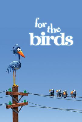 鳥(niǎo)！鳥(niǎo)！鳥(niǎo)！