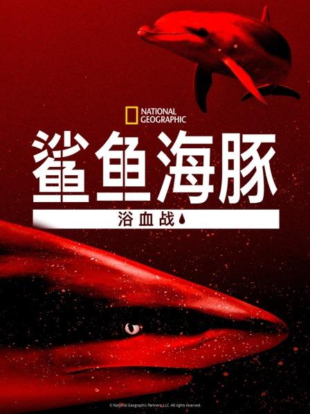 鯊魚海豚浴血戰(全集)