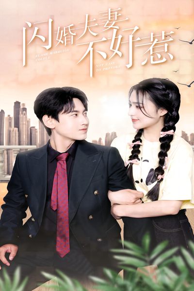 閃婚夫妻不好惹(全集)