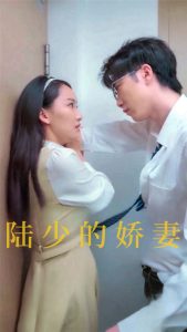 陸少的嬌妻(全集)