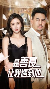 是善良讓我遇到他(全集)