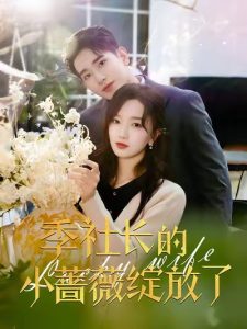 季社長(zhǎng)的小薔薇綻放了(全集)