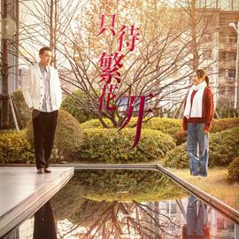 只待繁花開(全集)