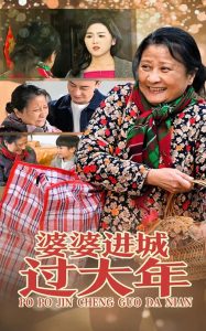 婆婆進城過大年(全集)