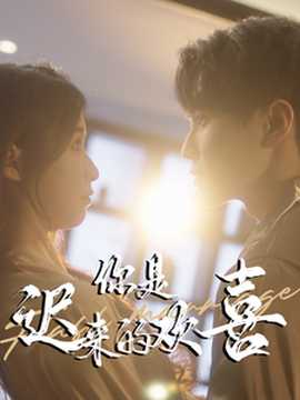 你是遲來的歡喜(全集)