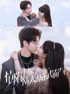 情陷于你，陸太太威武霸氣(全集)