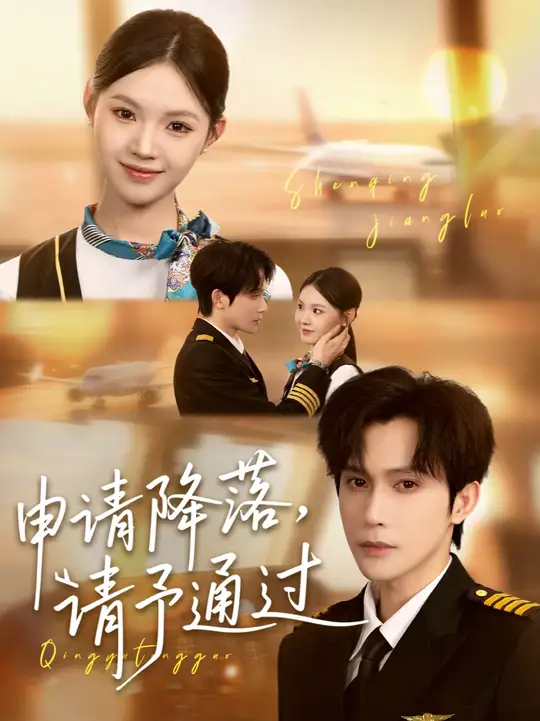 申請(qǐng)降落請(qǐng)予通過(guò)(全集)