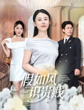 假如風識貴賤(全集)