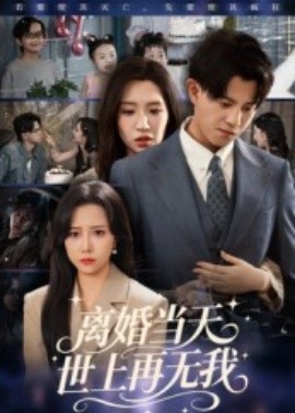 離婚當天世上再無我(全集)