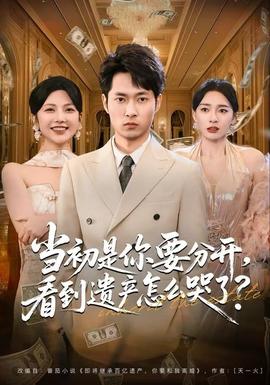 當(dāng)初是你要分開，看到遺產(chǎn)怎么哭了？(全集)