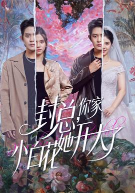 封總，你家小白花她開大了(全集)