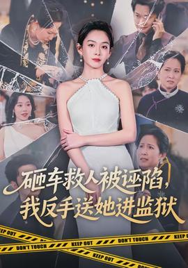 砸車救人被誣陷，我反手送她進監獄(全集)