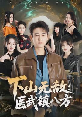 下山無敵：醫武鎮八方(全集)