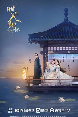 明月入卿懷(全集)